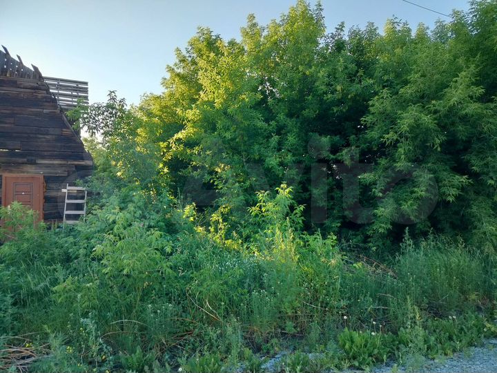 Участок 6 сот. (ИЖС)