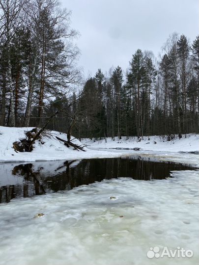 Рыбалка
