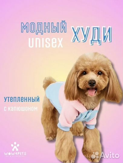 Кофта для собак