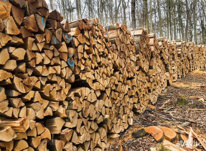 Дрова купить