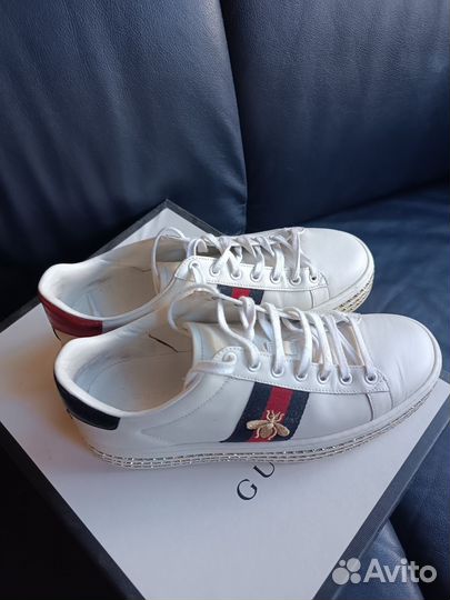 Женские кожанные кеды gucci Ace