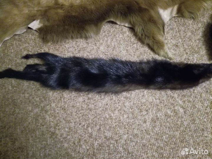 Шкурка норки