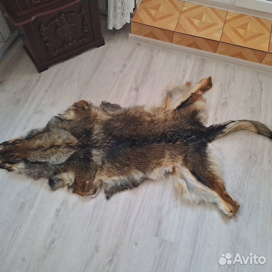 Волчья шкура