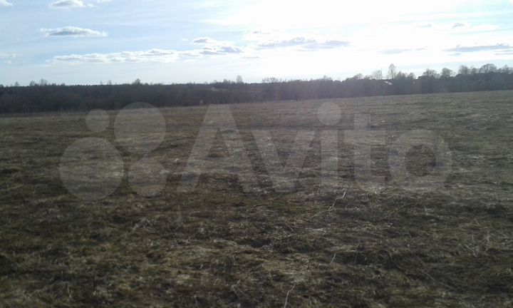 Участок 9,1 га (СНТ, ДНП)