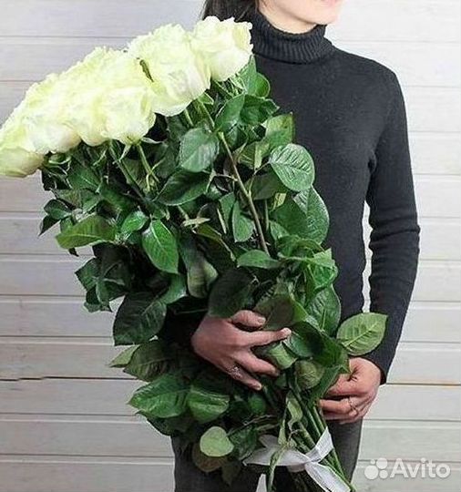 Розы гиганты 140 150 160 170 180 200