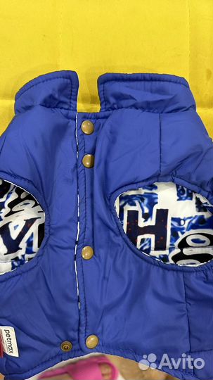 Жилетка для средних собак