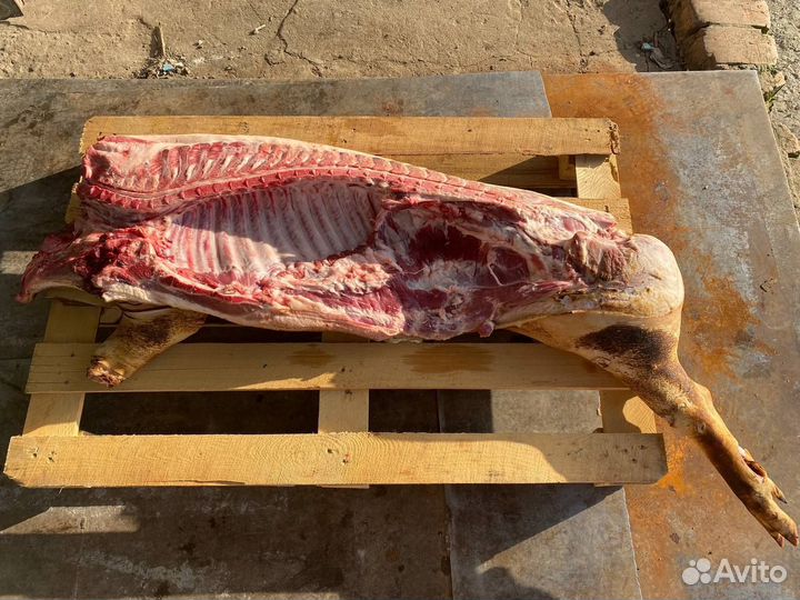 Мясо домашнее