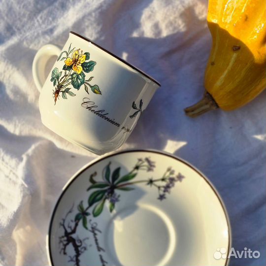 Кофейная пара Villeroy&Boch Botanica Сhelidonium Majus