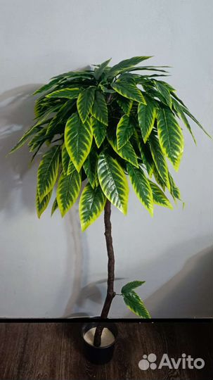 Искусственное дерево Манго