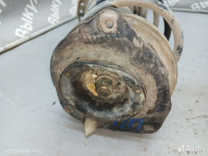 Стойка подвески передняя правая Renault Megane K4M