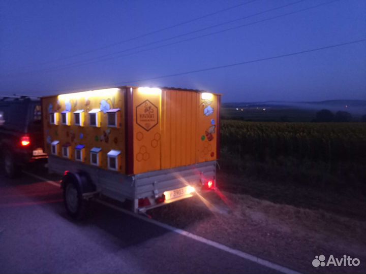 Хобби продажа пчёл и улии