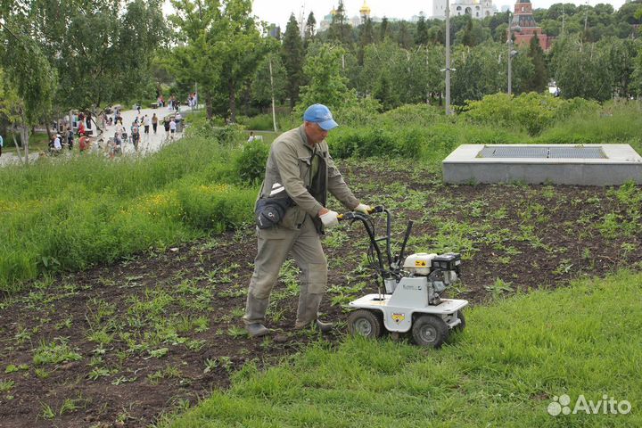 Рулонный газон под ключ