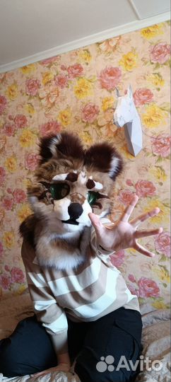 Фурсьют кошки