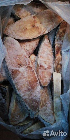 Рыба для животных