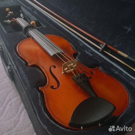 Скрипка