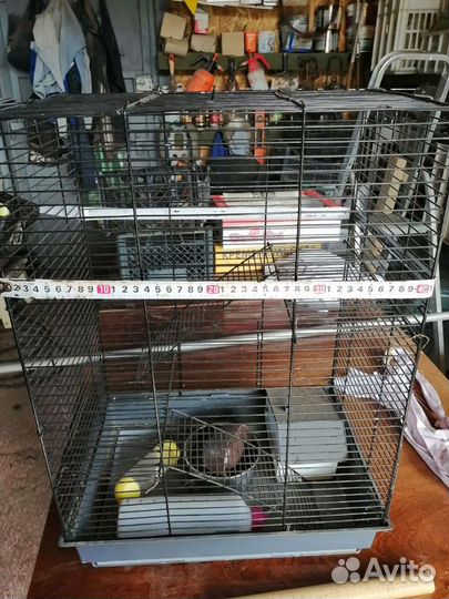 Клетка для грызунов большая
