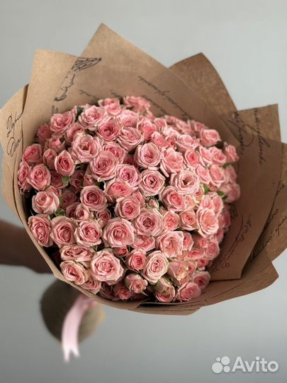Розы 201 кустовые Москва