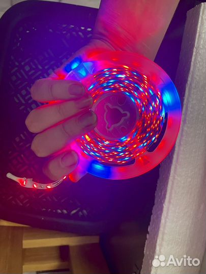 Лента светодиодная длина 2м