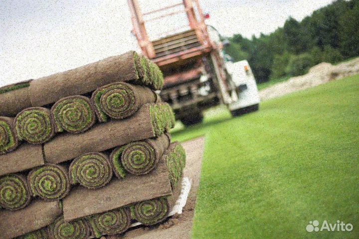 Укладка рулонного газона эконом