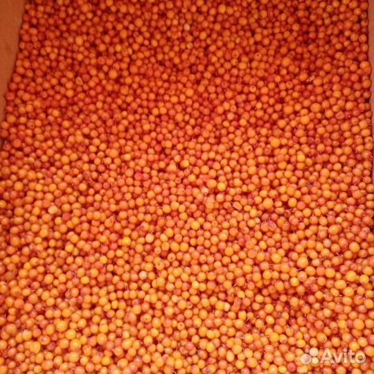 Продам облепиховый сироп