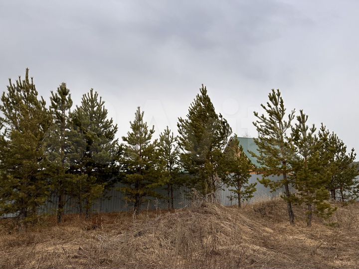 Участок 13 сот. (ИЖС)