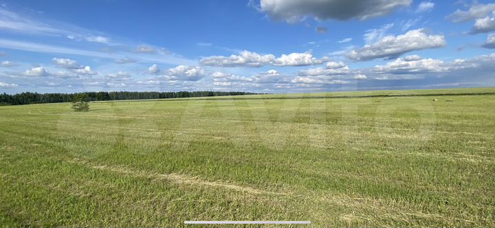 Участок 30 га (ИЖС)