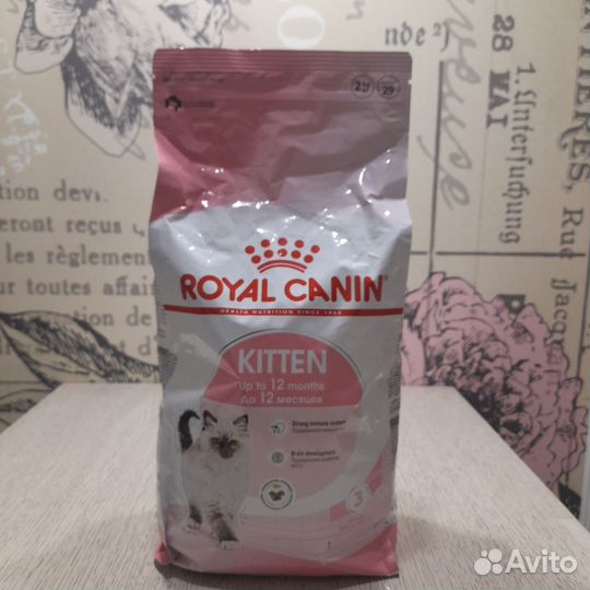 Корм для котят