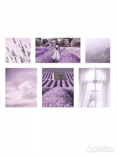 Фотокартина,лиловый цвет