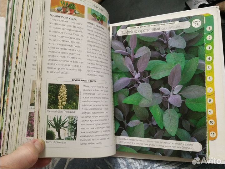 Книга растений