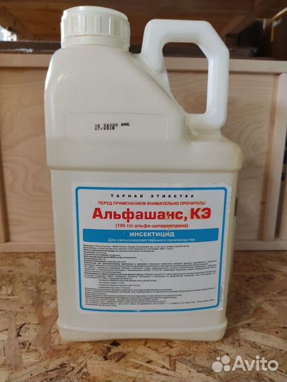 Альфашанс кэ