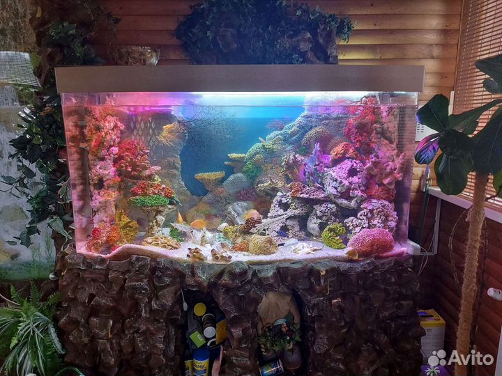 Декор для аквариума