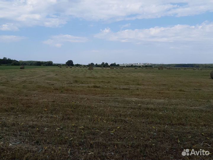 Сено в рулонах 2023