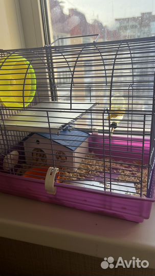 Хомяк с клеткой