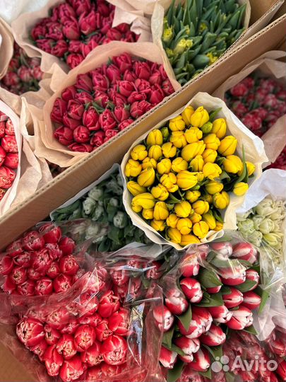 Живые цветы букеты