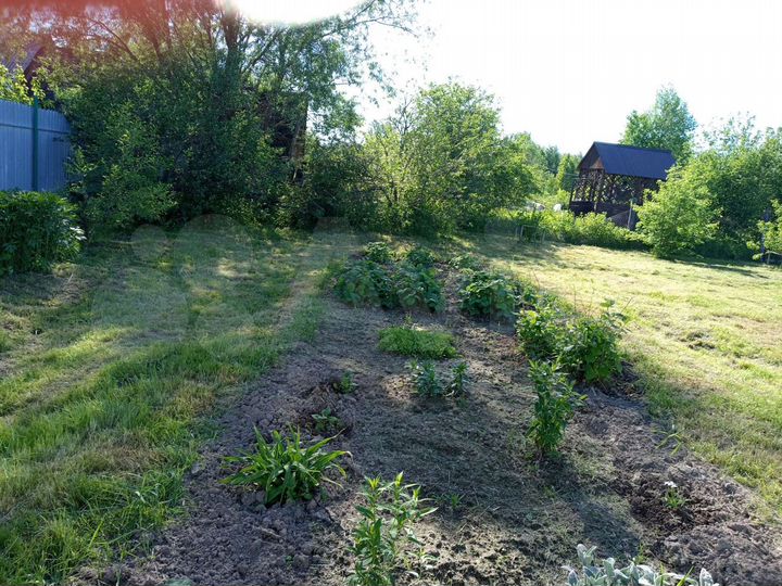 Участок 11,5 сот. (СНТ, ДНП)