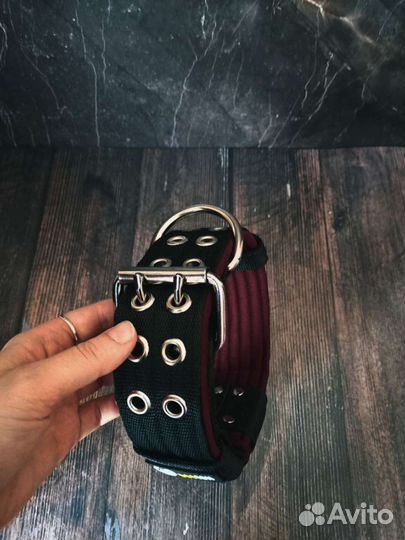 Ошейники для собак