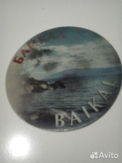 Магнит Нерпа