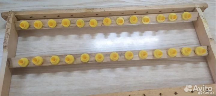 Комплект мисочек для вывода пчелиных маток