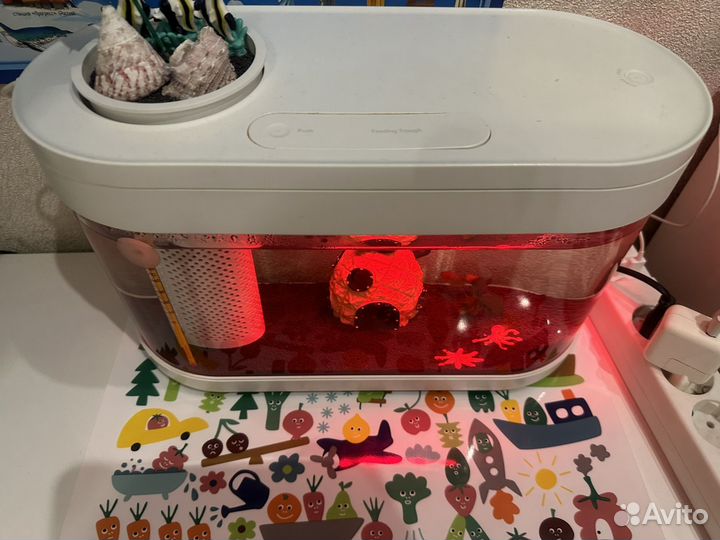 Аква-ферма Xiaomi