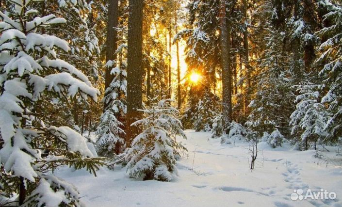 Постоянная прописка в москве от собственника