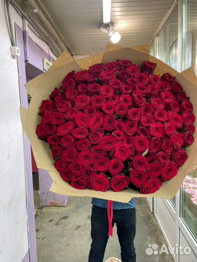 101 Роза. Цветы. Букет цветов, 25, 51, 101 роза