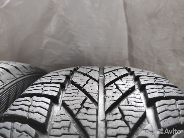 Gislaved Euro Frost 5 205/60 R16 96H