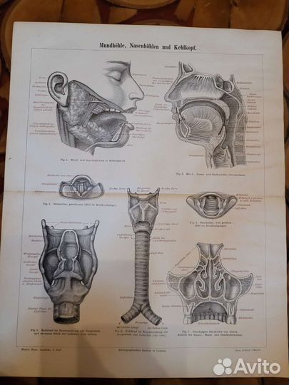 Коллекция гравюр 19 век, оригиналы 130шт Европа
