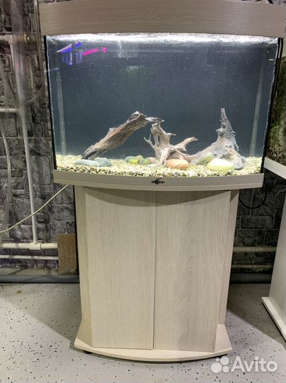 Аквариум biodesign 100, доставка