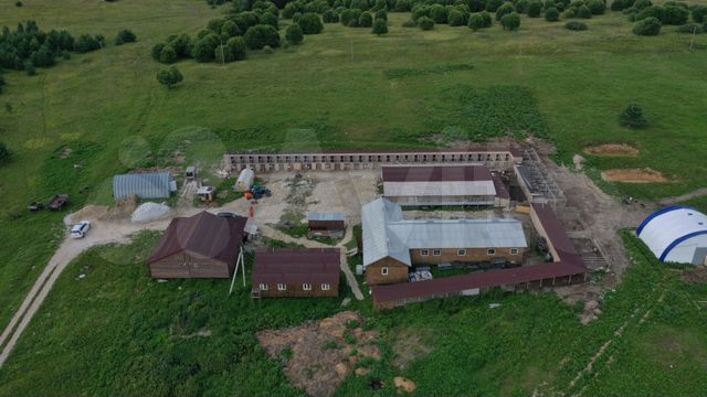 ферма в глуши. птицеводное помещение. село малософиевка днепропетровская область. ферма коровник. сдаю в аренду фермерское хозяйство.