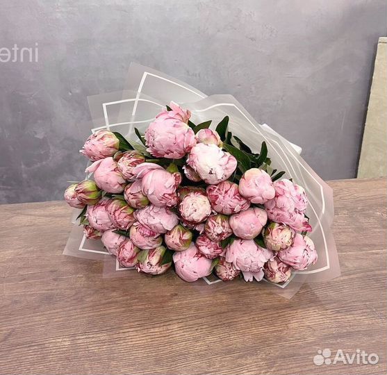 Пионы Цветы