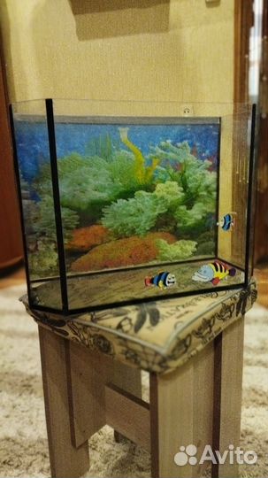 Аквариум