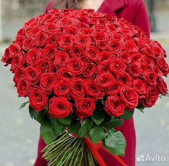 Высокие розы Гигантские Розы 150 160 170 180 190см