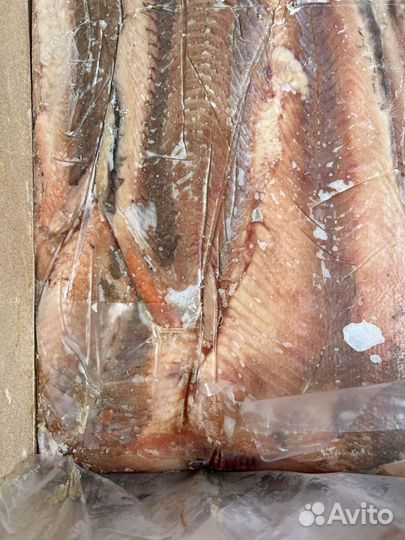 Свежая рыба