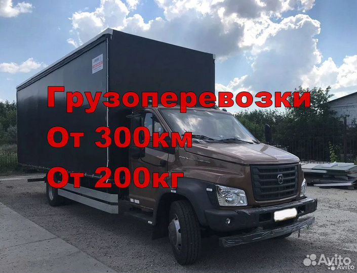 Грузоперевозки Спб Москва